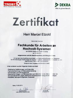 •Instandsetzung und Diagnose von Hybrid- und Elektrofahrzeugen